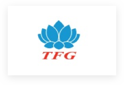  TFG